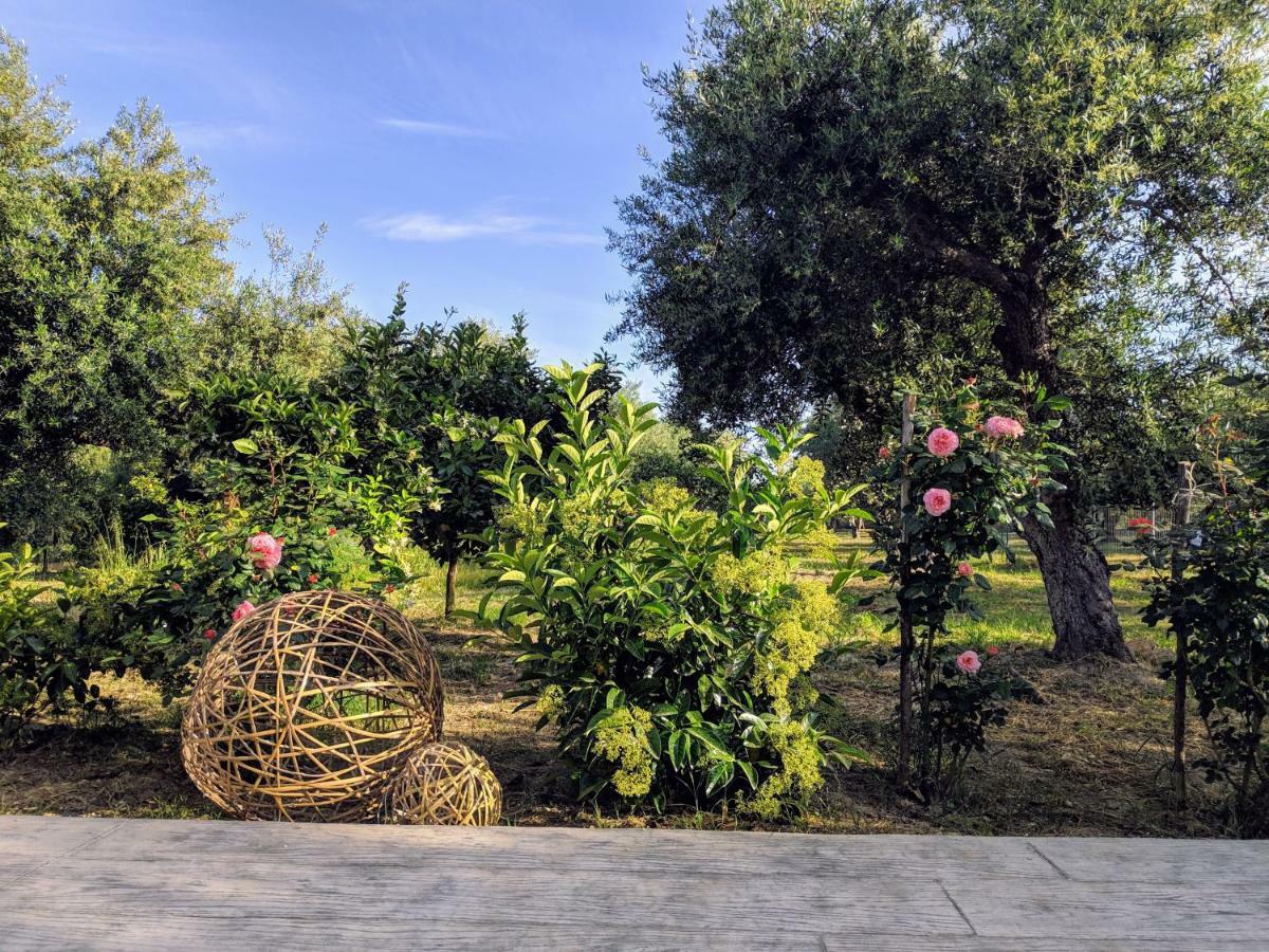 Casa Di Porto Roma Vasilikós Exterior foto